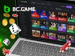 Exploring the Bc.Game Pros Your Complete Guide to a Leading Online Gaming Platform