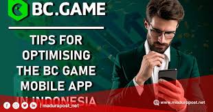 Explore Exciting Options Bc Game Alternative